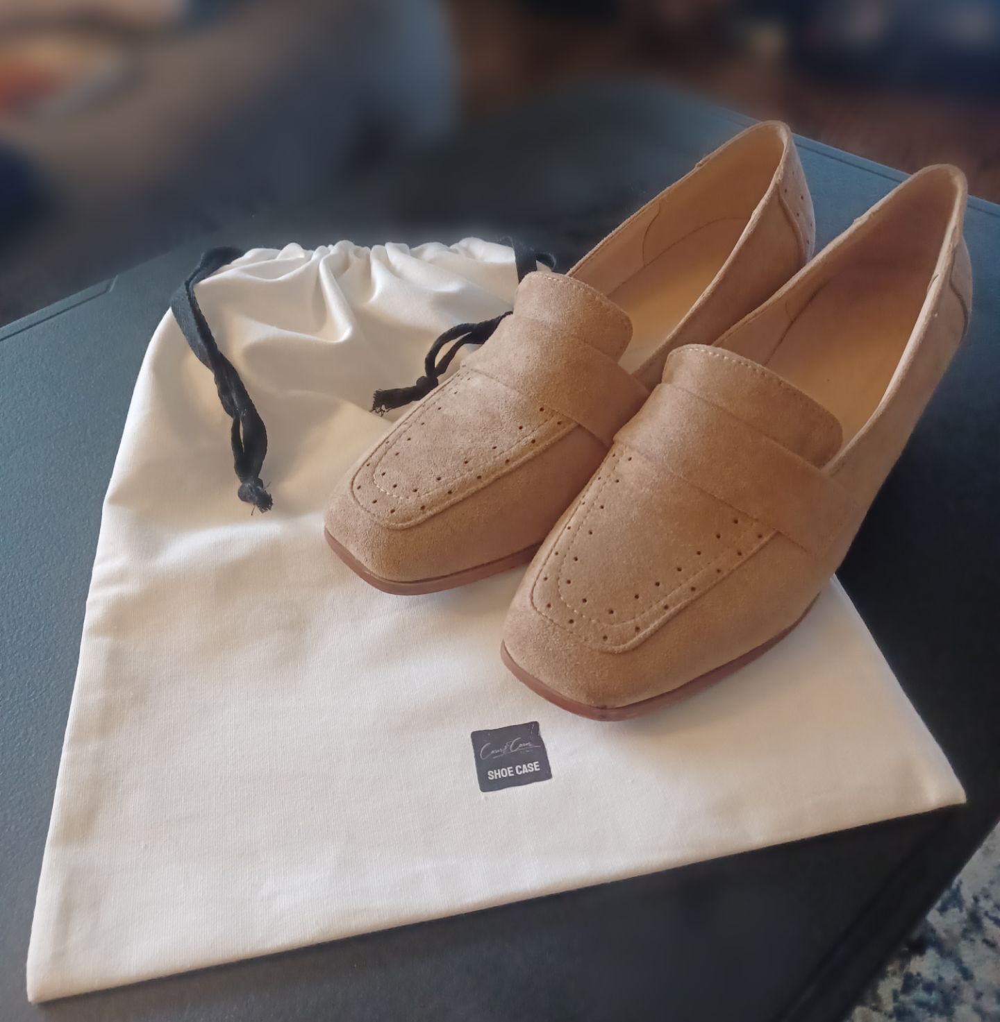 Shoe case