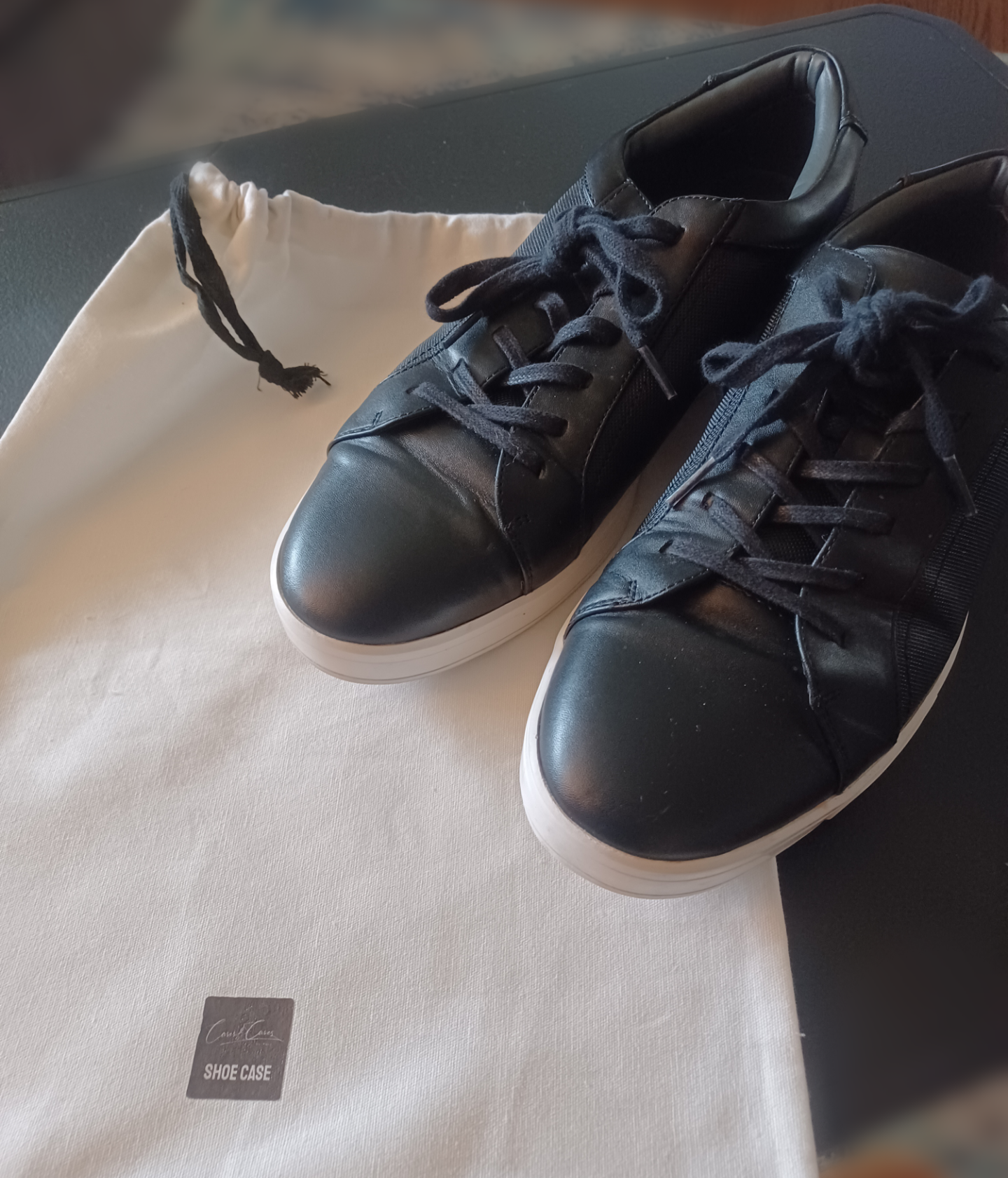 Shoe case